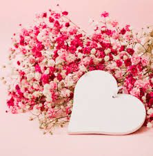 Significance and Uses of Love Flowers