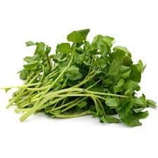 12 Benefícios medicinais para a saúde do agrião da Flórida (Nasturtium Floridanum)