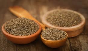 Medicinal Health Benefits of Ajwain (Trachyspermum ammi)