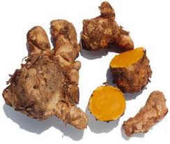 Bienfaits médicinaux de Curcuma Zanthorrhiza (Temulawak)
