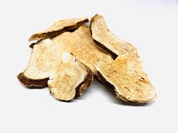 Bienfaits médicinaux de Atractylodes Macrocephala (Bai Zhu)