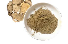 Medicinal Health Benefits of Atractylodes (tractylodes macrocephala)