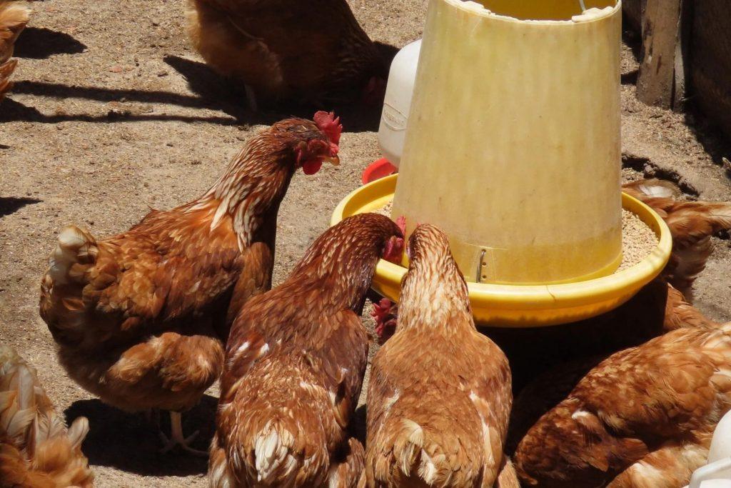 Proper Layers Management Practices for Better Performance