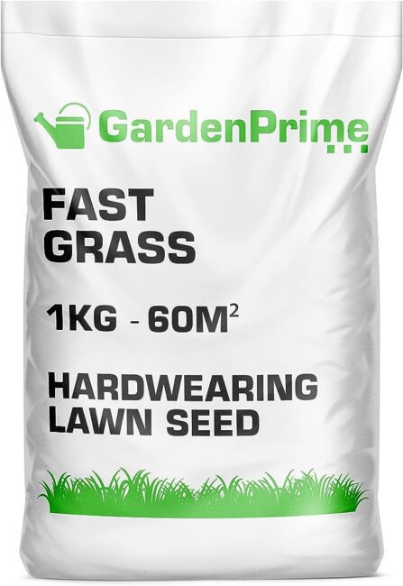 Everything You Need To Know About Miracle Gro for Grass 