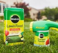 Everything You Need To Know About Miracle Gro for Grass