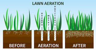The Benefits of Having an aerating Lawn: A Comprehensive Guide
