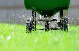 All You Need To Know About Fertilizing Lawn