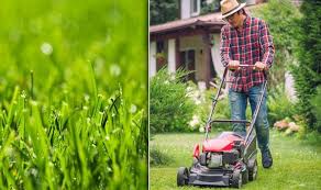 All You Need To Know About Cutting Grass 