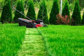 All You Need To Know About Cutting Grass 