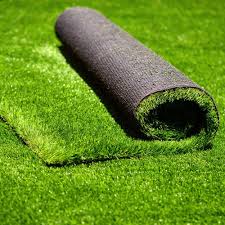 A Guide to Growing and Caring For Astro Turf Grasses (Cynodon Dactylon)