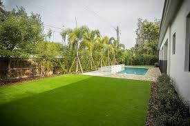 A Guide to Growing and Caring For Astro Turf Grasses (Cynodon Dactylon)