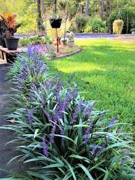 Everything You Need To Know About Grass Border