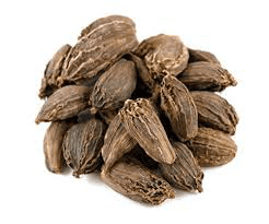 10 Medicinal Health Benefits of Black Cardamom (Amomum subulatum)