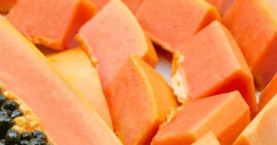 PawPaw/Papaya Skin: Economic Importance, Uses and By-Products