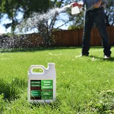 All You Need To Know About Grass Treatment 
