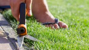 All You Need To Know About Cutting Grass 