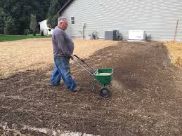 All You Need To Know About Seeding a Lawn 