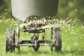 All You Need To Know About Seeding a Lawn 