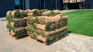 Everything You Need To Know About Rolled Grass
