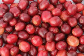 Coffee Cherries: Economic Importance, Uses and By-Products