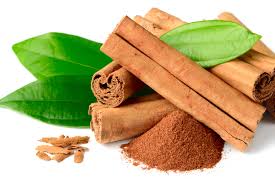 Growing Guide and Health Benefits of Cinnamon Spices Growing Guide and Health Benefits of Cinnamon Spices