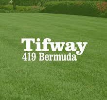 A Guide to Growing and Caring for Tifway 419 Bermuda Grass