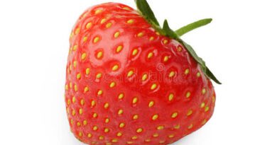 Strawberry Peduncles: Economic Importance, Uses and By-Products