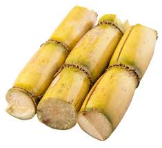 Sugarcane Stalks
