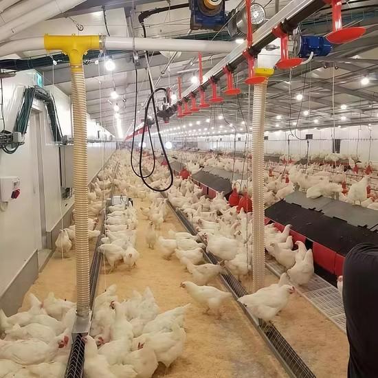 Les Éleveurs De Volaille Bon Guide De Gestion De La