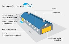 Comment Construire Votre poulailler