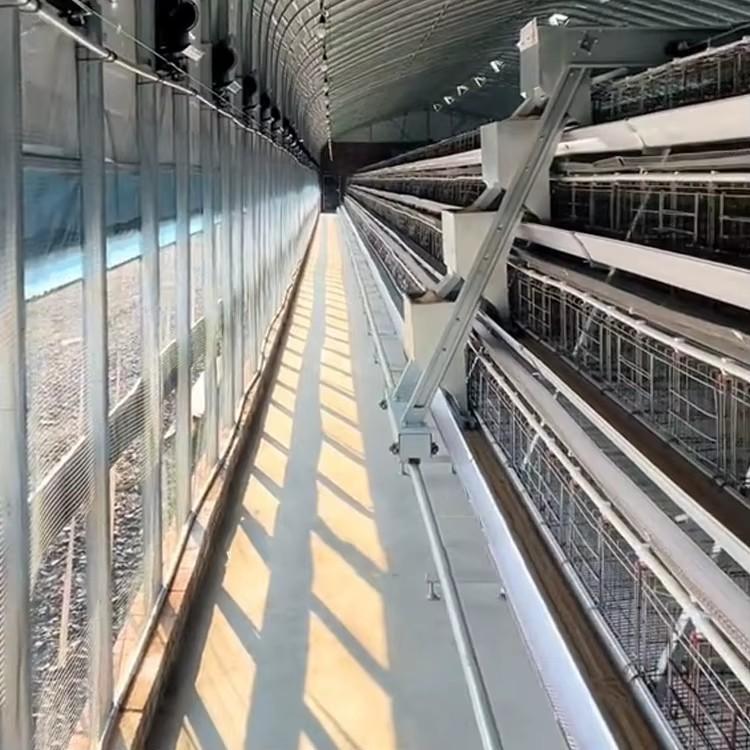 Comment Construire Votre poulailler