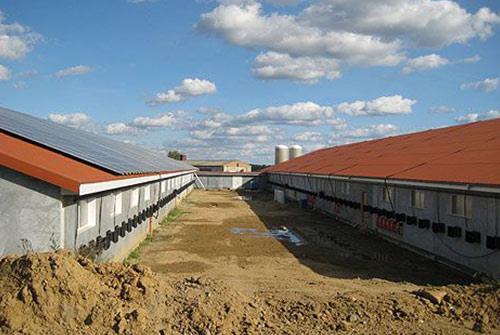 Poultry Housing Management: Poultry Pen/House Construction Guide