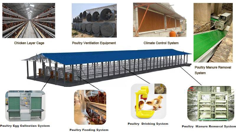 Poultry Housing Management: Poultry Pen/House Construction Guide