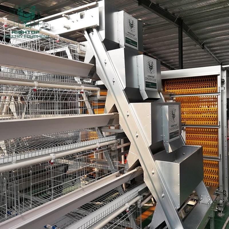 La Volaille De La Gestion Du Logement: Site Guide De Sélection