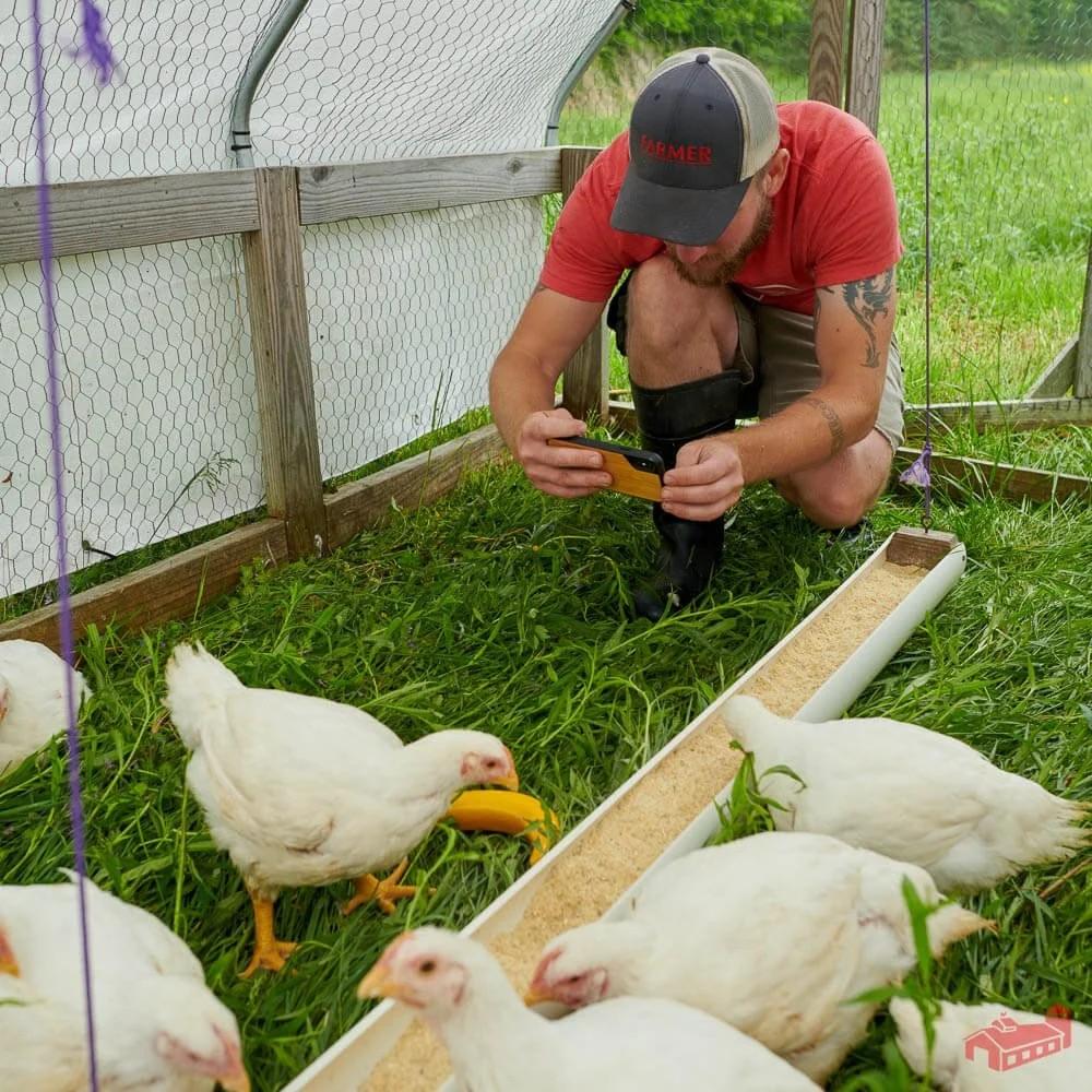 La volaille de tenue de documents et d'Évaluation de la Performance