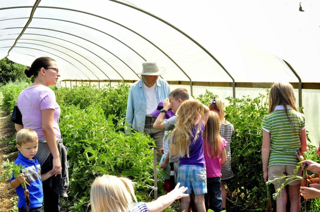 Combien de fois afin de Permettre aux Visiteurs de Votre Batterie