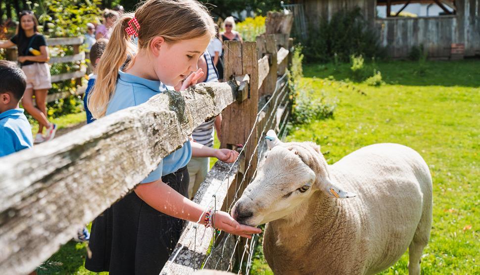 Combien de fois afin de Permettre aux Visiteurs de Votre Batterie