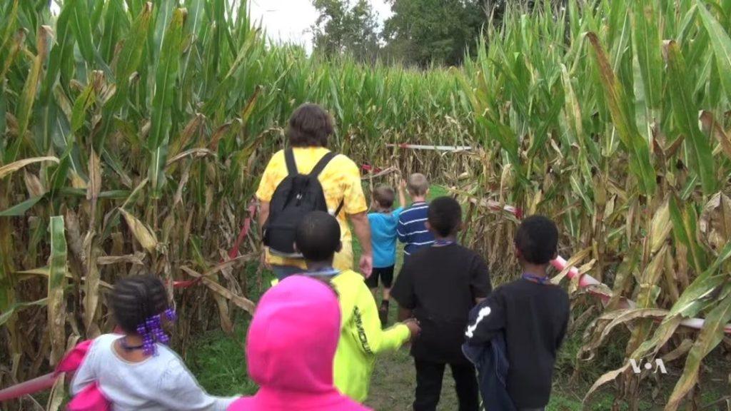 Combien de fois afin de Permettre aux Visiteurs de Votre Batterie