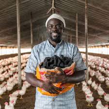 Comment Les Volailles De La Ferme Des Odeurs Peuvent Être Abordés