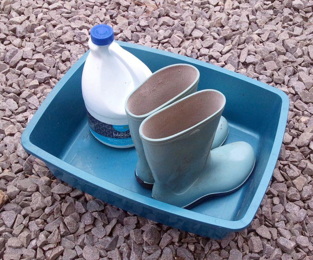 Poultry Pen Routine Maintenance: Why Foot Bath at the Entrance of the Poultry Pen is Necessary