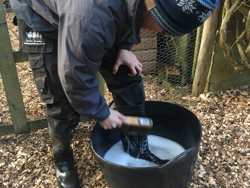 Poultry Pen Routine Maintenance: Why Foot Bath at the Entrance of the Poultry Pen is Necessary