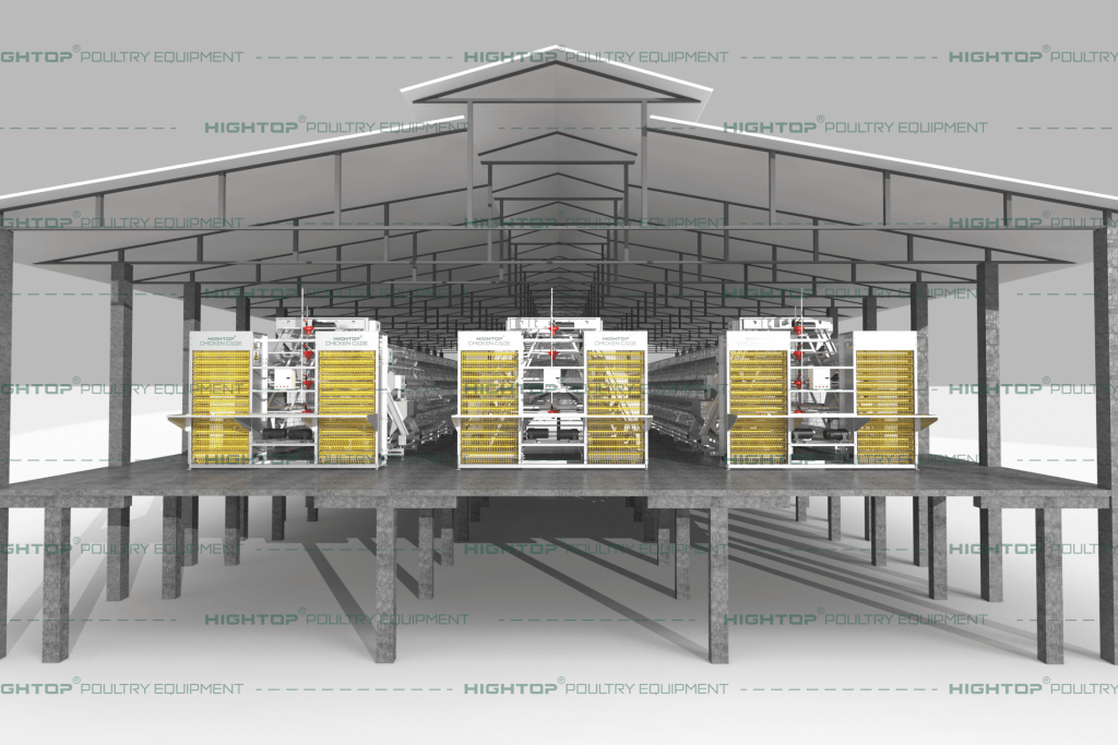 Coût de Construction d'un poulailler: Guide Complet avec la Répartition du Budget de