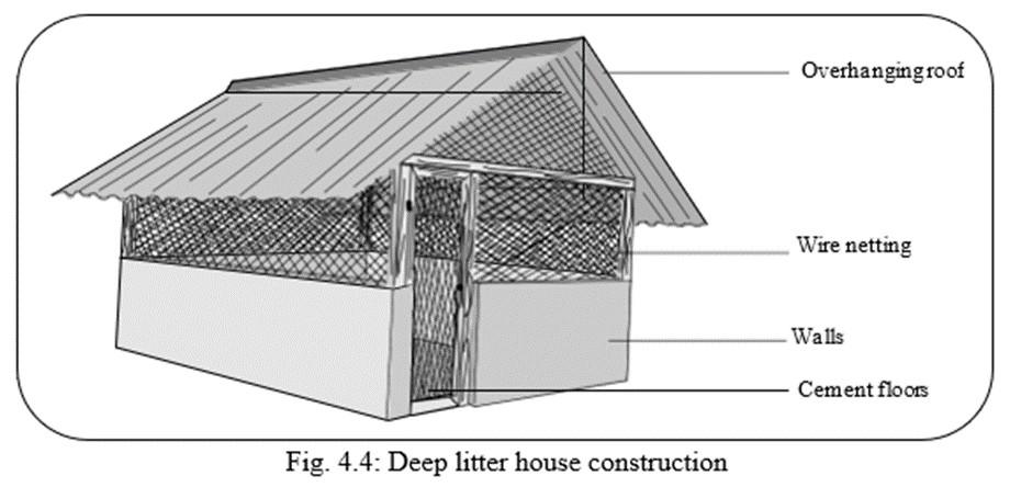 Couveuse Maison de Construction et de Gestion: Essentiel lignes Directrices pour la Réussite
