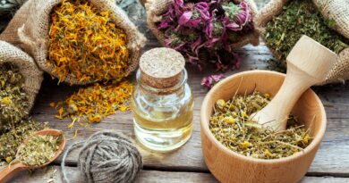 The Health Benefits of Using Herbs