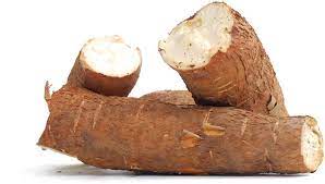 Cassava Fruits