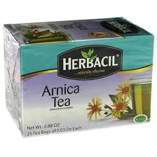 11 Health Benefits of Arnica Herb