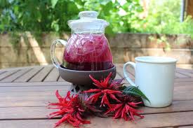 Growing Guide and Health Benefits of Bee Balm Plant Growing Guide and Health Benefits of Bee Balm Plant