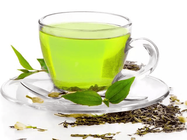 18 Medicinal Health Benefits Of Camellia sinensis (Tea Plant)