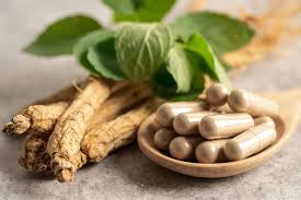 Growing Guide and Health Benefits of Using Ginseng Root Growing Guide and Health Benefits of Using Ginseng Root