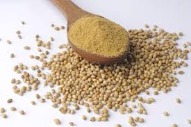 Growing Guide and Health Benefits of Coriander Spices